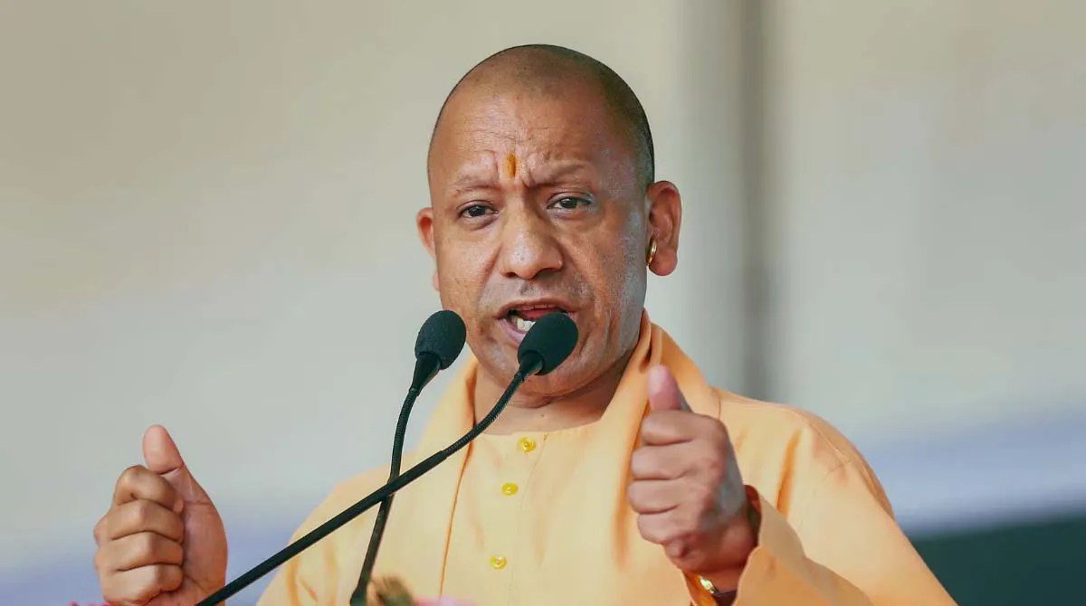 yogi