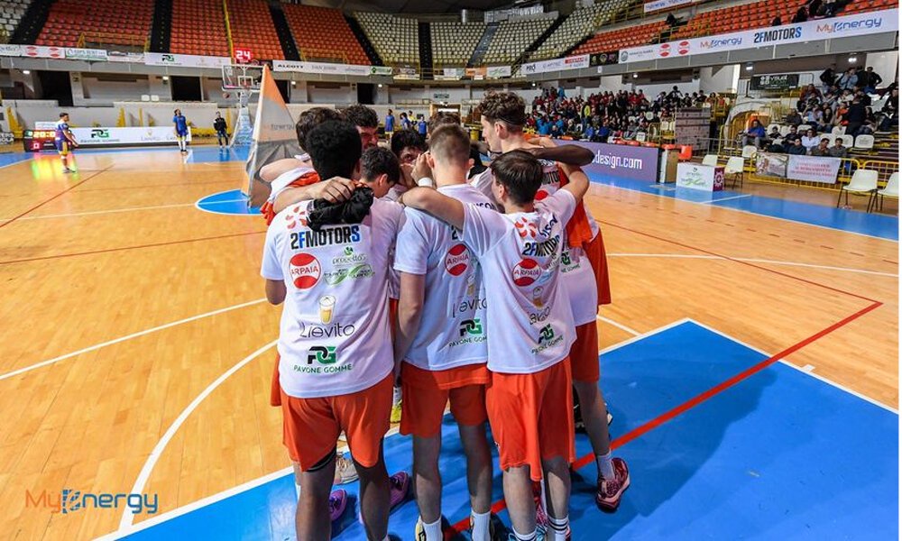 Myenergy vs power basket salerno