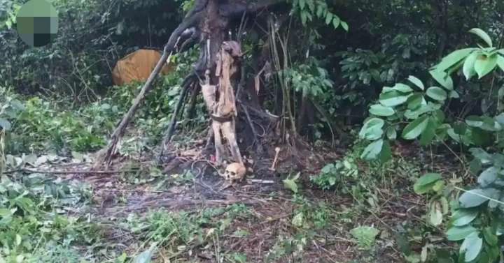 Yahoo Boy Confesses How He Tied his Grandma To Tree Inside Forest And Forcefully Had Sèx With Her