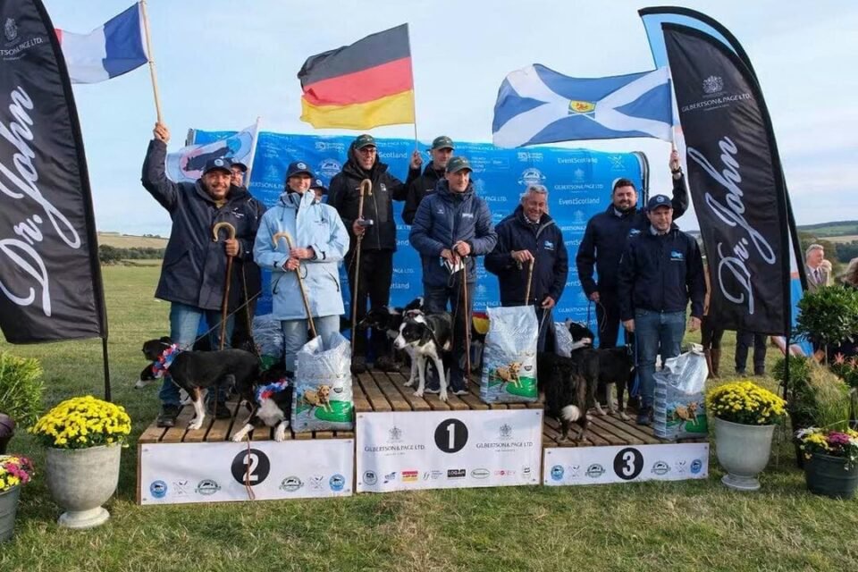 Championnat du monde chien de troupeaux