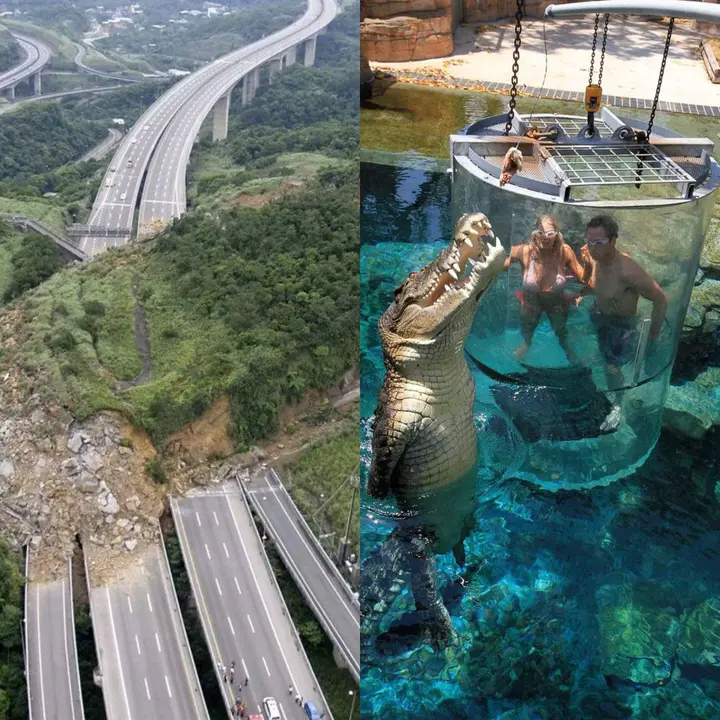 Most Disturbing Pictures Have Never Seen