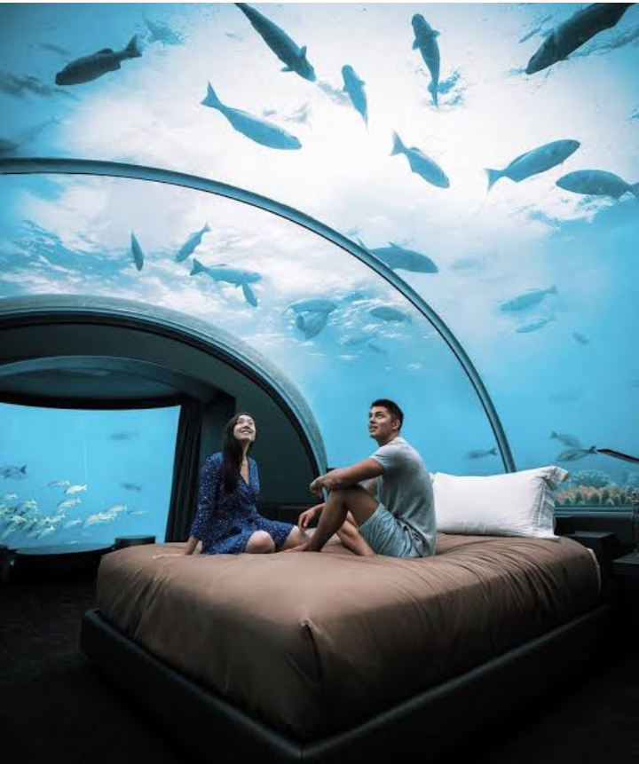 7 Best UnderWater Hotel Rooms and The Price Per Night