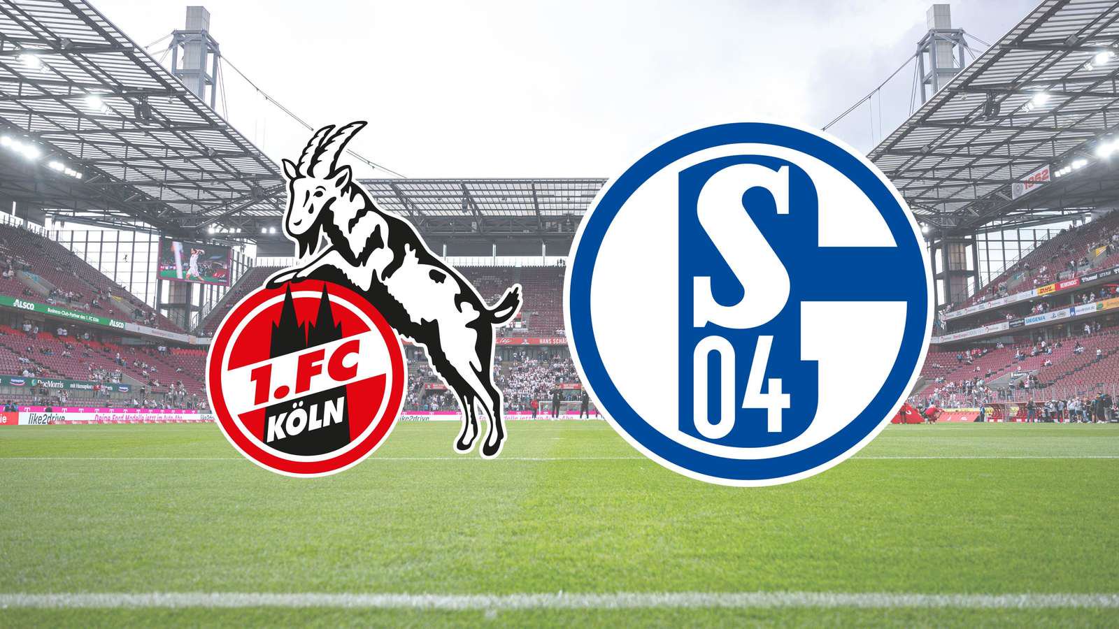 Die Vereinslogos des 1. FC Köln und FC Schalke 04 sowie im Hintergrund das Rhein-Energie-Stadion.