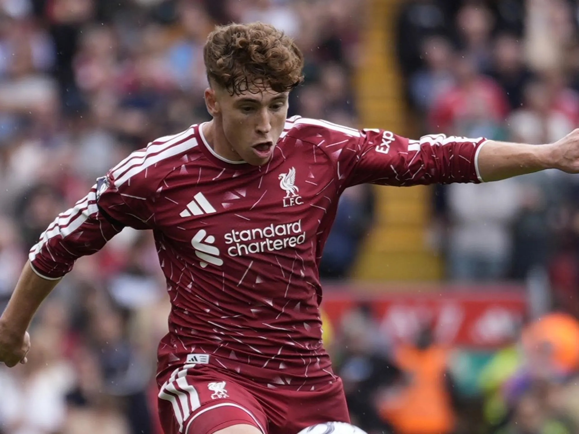 Liverpool vs. Brighton injury, suspension list, predicted XIs