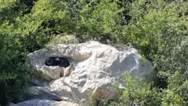 गायब हो जाएंगे सैनिक