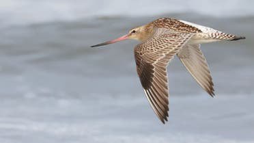 91577aceb4f55e5ede8fc61d43737cbf?source=nlp&quality=hq&format=webp&resize=720