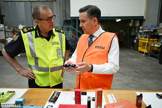 Health Minister Mark Butler (pictured right) says many young Aussies are getting hooked on vapes