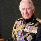 New portrait of King released for Armed Forces Day