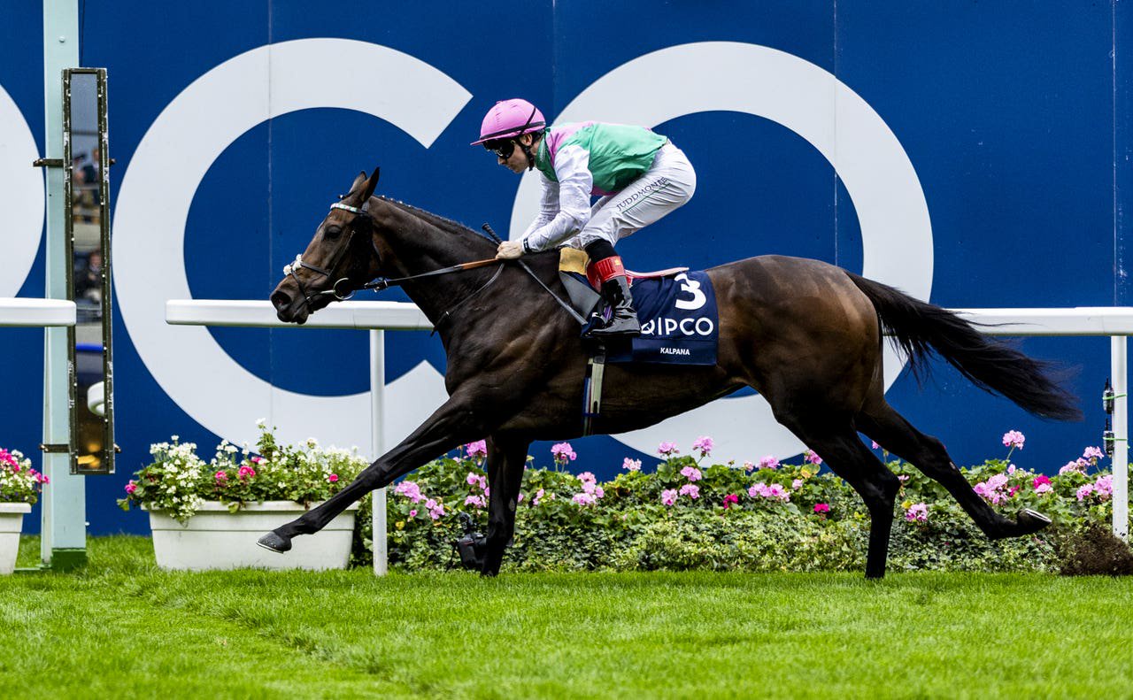 Kalpana winning the Qipco British Champions Fillies and Mares Stakes last year