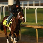 Preakness Stakes: Here Are The Favorites—And Betting Odds—After Kentucky Derby Upset