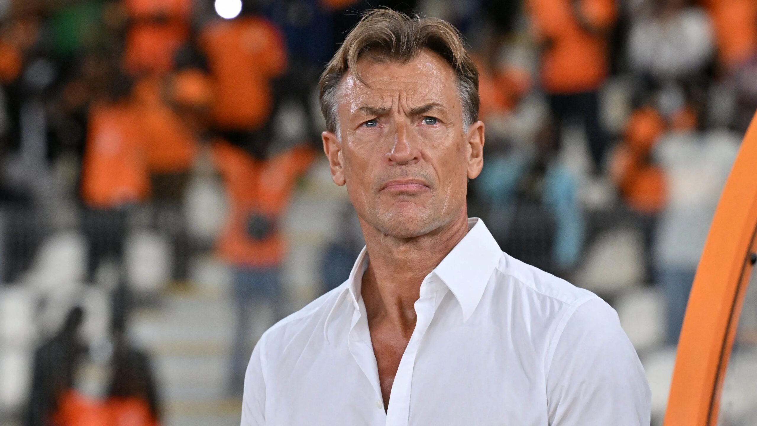 Renard
