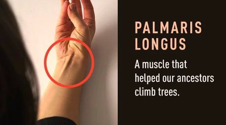 10 Body Features That Are Very Rare And Only Few People Have Them Winnaijatv