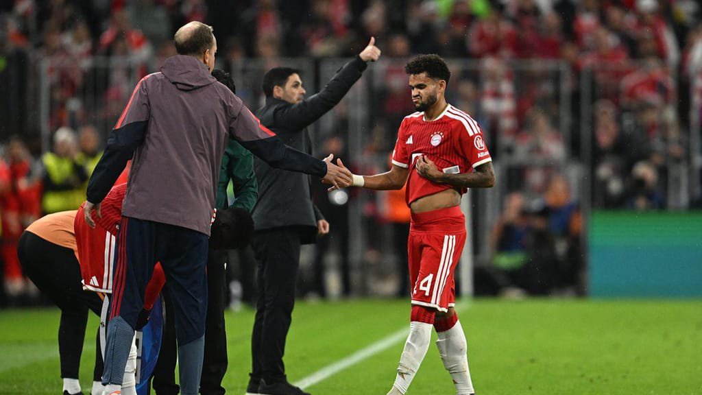 Luis Díaz (Sven Hoppe/picture alliance via Getty Images)