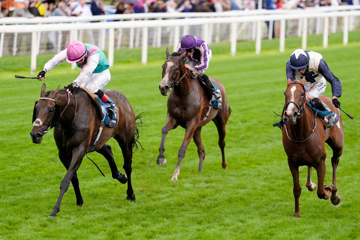 Kalpana (left): bids for third Champions Day win