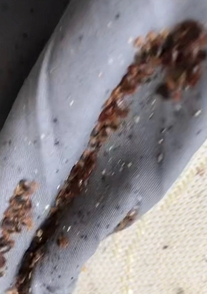 A pest expert discovered the infestation in the man's home