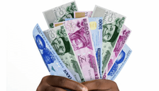 Naira opens window for firms’ asset revaluation