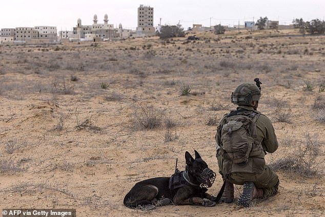 An Israeli army soldier part of a K-9 unit takes part in a drill at an army urban warfare training facility simulating Gaza City back in January