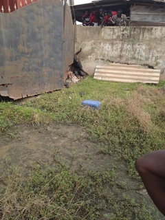 Power cable thief electrocuted in Cape Coast