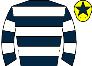 Horse silk