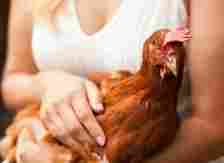 woman holding a chicken