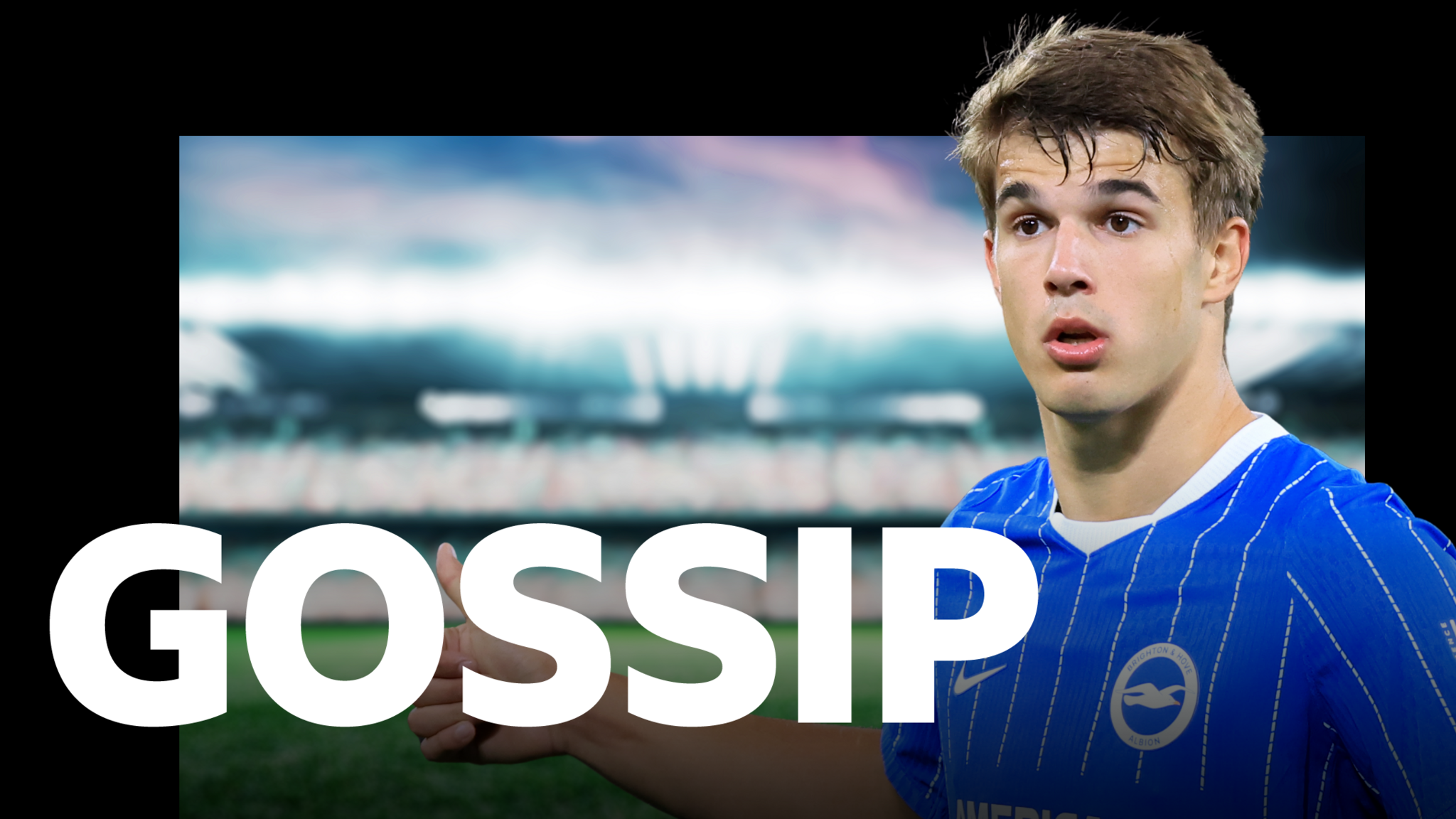 Brighton defender Luka Vuskovic