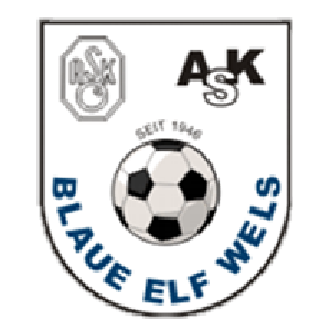 Blaue Elf Wels