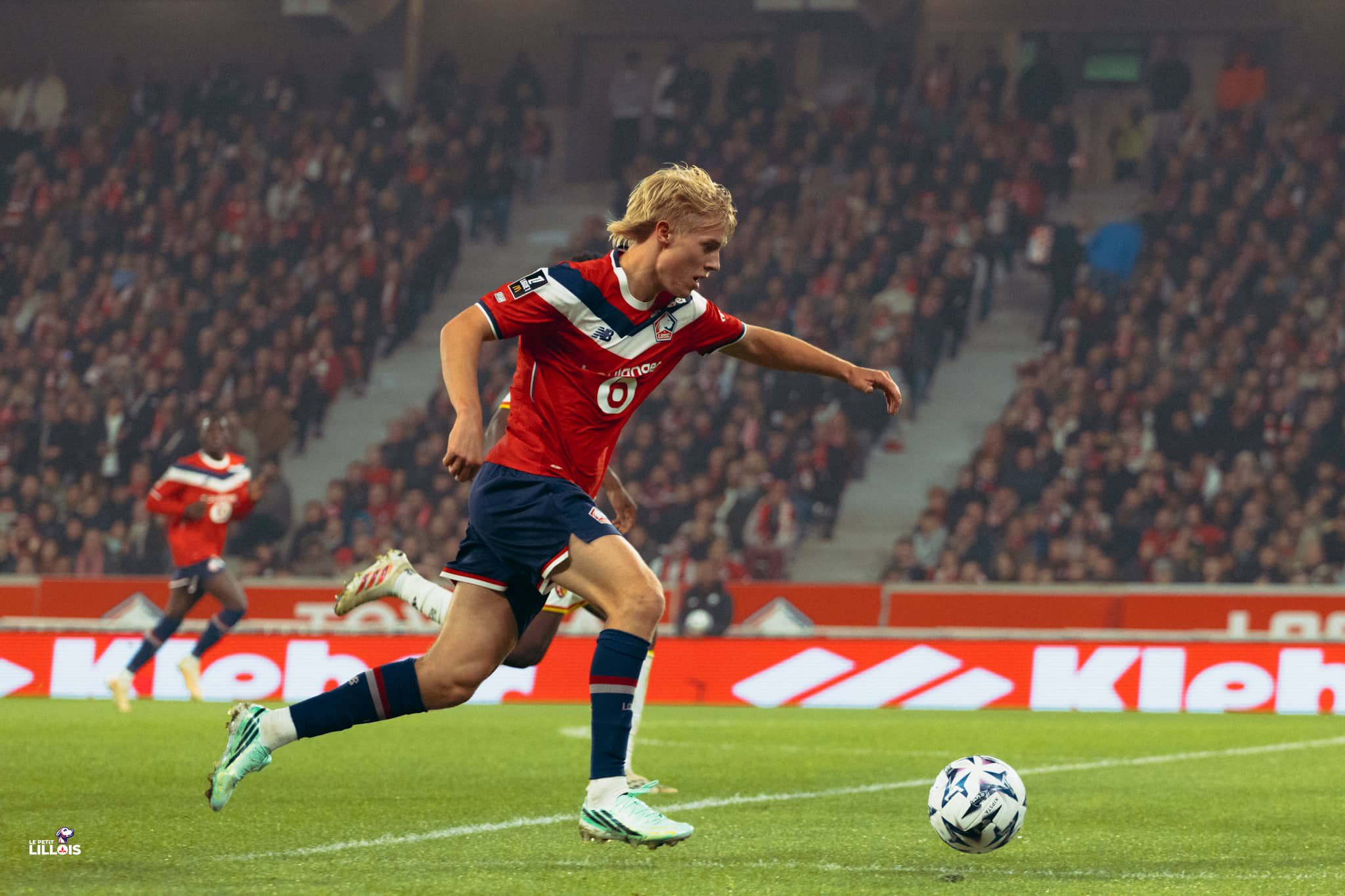 Hakon Haraldsson, joueur du LOSC.