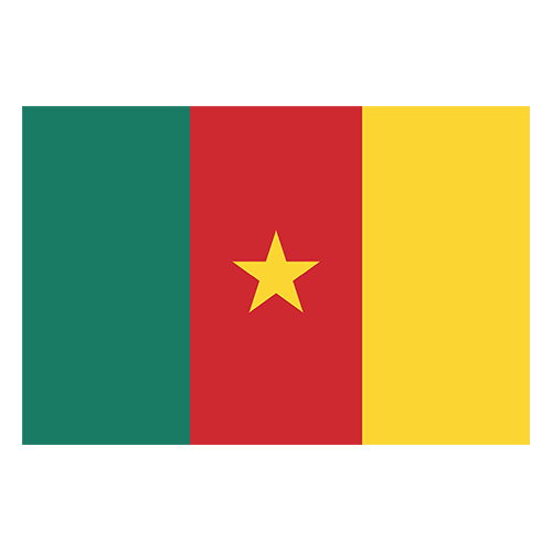 Cameroon flag
