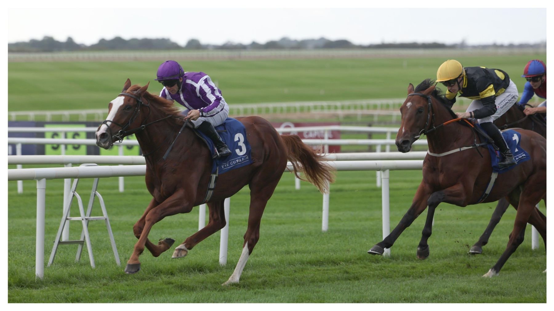 Noble Exhibit lands the Beresford