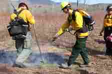 A young male firefighter spray water on a small fire burning on the ground from a hose that's attached to his backpack.