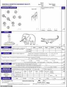 The Montreal Cognitive Assessment (above) is used widely to check patients with neurodegenerative illness