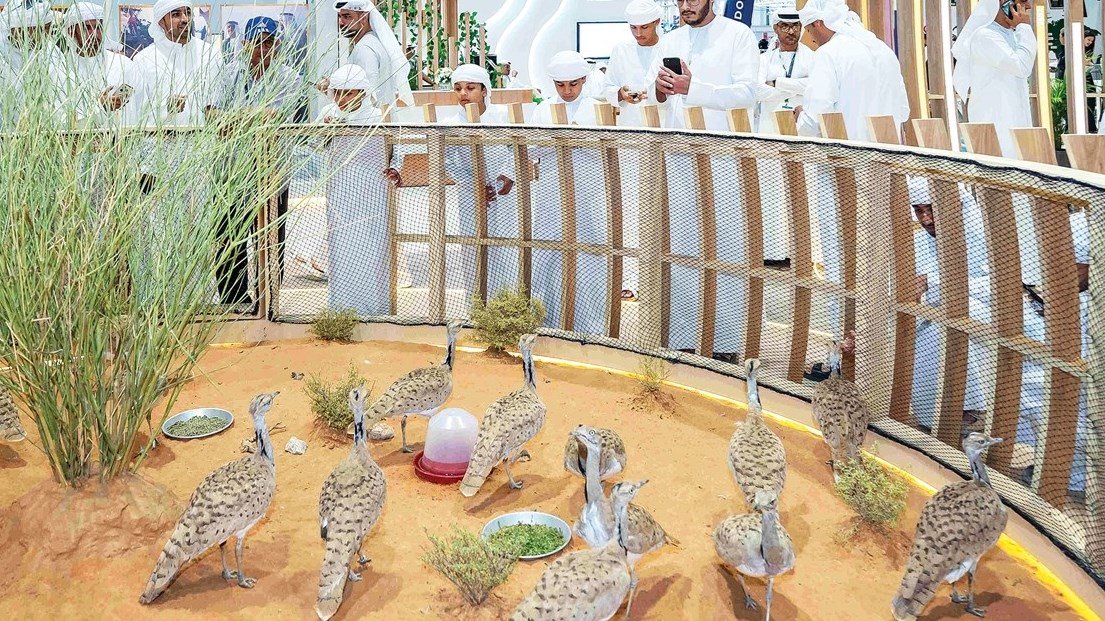 «حوبوت».. حكاية أول روبوت إماراتي ذكي للحبارى