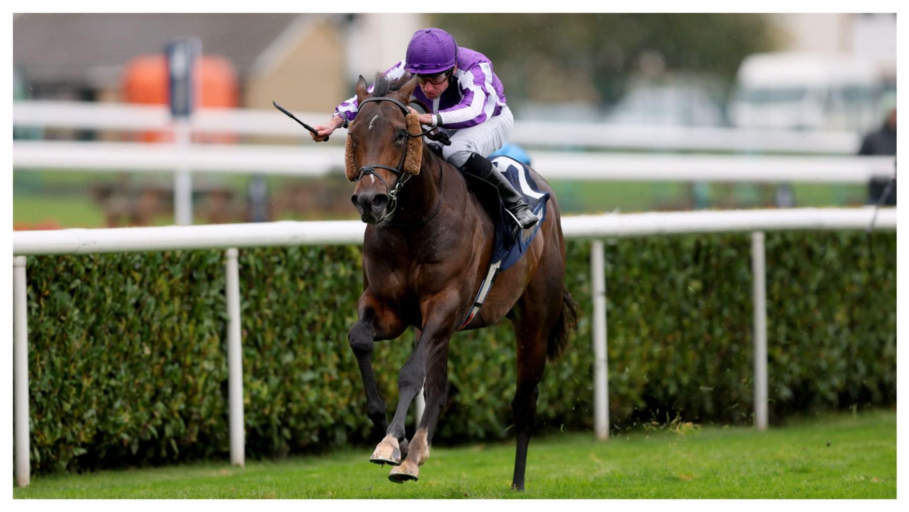 Bengal Tiger wins at Doncaster