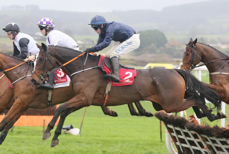 Butch Cassidy is set to take his chance at Cheltenham on Saturday. Photograph: Inpho

