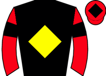 Horse silk