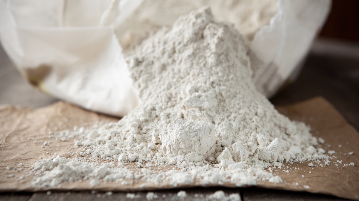 does bleach kill ants diatomaceous earth
