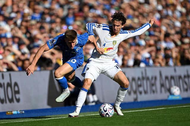 Costinha of Brighton & Hove Albion is challenged by Brenden Aaronson of Leeds United. (Photo by Mike Hewitt/Getty Images)
