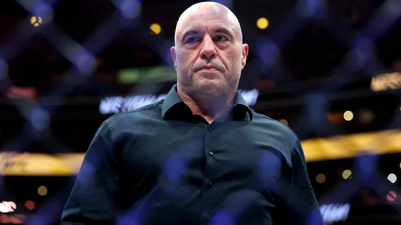 Joe Rogan UFC Farid Basharat
