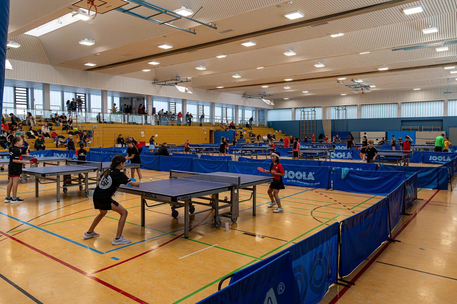 Der TTC Seligenstadt richtete die Einzel- und Doppelmeisterschaften des hessischen Tischtennisnachwuchses für den Kreis Offenbach aus. Mit knapp 170 Meldungen zeigte der Nachwuchs reges Interesse. In die Siegerliste trugen sich auch Spieler aus dem Ostkreis ein: Timo Plappert, Sarah Hoffmann, Nils Wagemann (alle SKG Rodgau) sowie Leon Klees, Rami Al Hamka und Philipp Hoedt (allle DJK-TTC Ober-Roden). Die Jungspieler des TTC Seligenstadt bestritten ihren ersten Wettkampf und sammelten Erfahrungen. Dank des breiten ehrenamtlichen Einsatzes zahlreicher Mitglieder empfahl sich der TTC Seligenstadt als Austragungsort offizieller Sportereignisse. Foto: privat