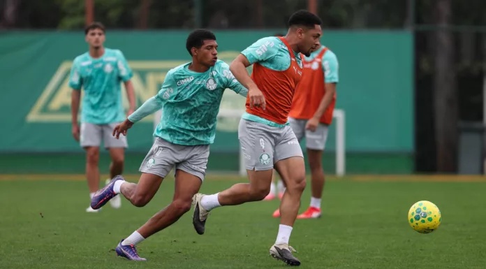 desfalques do Palmeiras contra o Vasco - confira quem está fora do primeiro jogo da semifinal