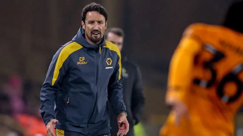 Cesar Peixoto on the Wolves sideline