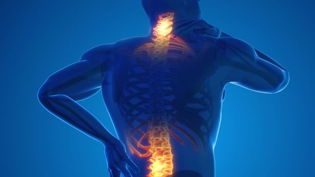 A 3D illustration of back and neck pain