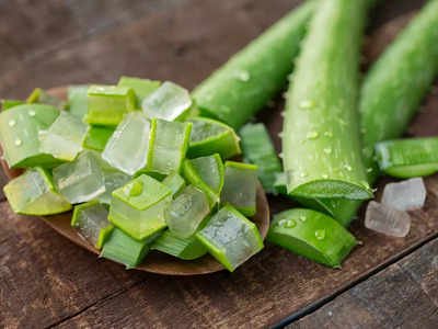 ​Aloe vera