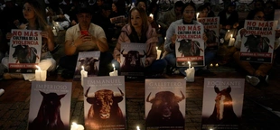 Colombia's congress votes to ban bullfighting