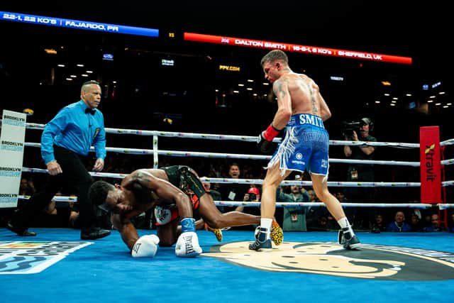 Down he goes,  Dalton Smith wins the WBC Pic courtesy of  Mohsin Hussain via Matchroom