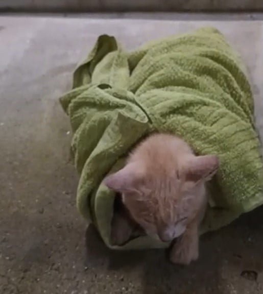 a201a1f4c581942a9ee8184ba1b9ac8f