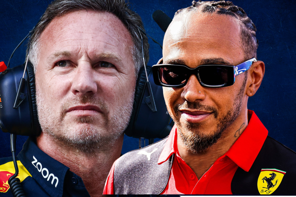 Christian Horner and Lewis Hamilton — Photo: © IMAGO