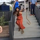 Bride’s sister springs to action when snake interrupts wedding party