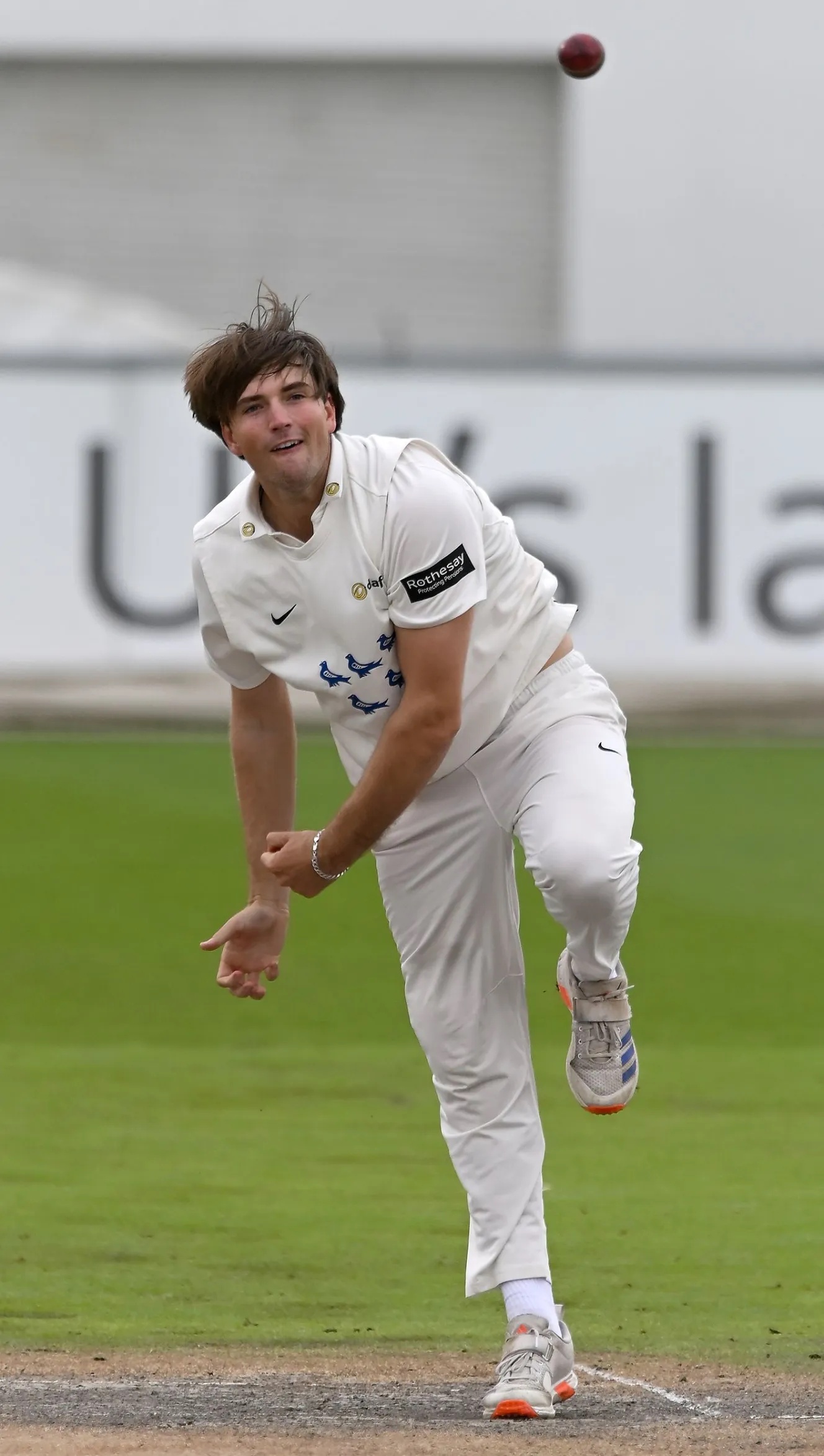 NINTCHDBPICT001070850880