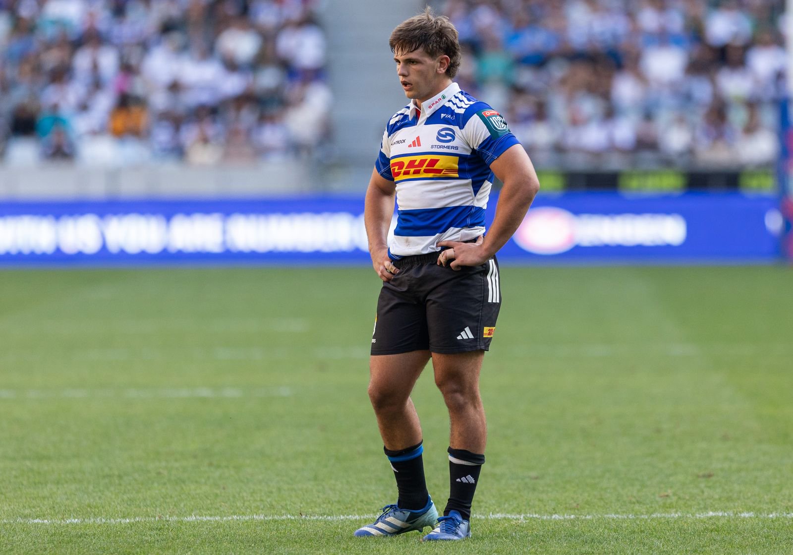 United Rugby Championship: DHL Stormers v Llanelli Scarlets